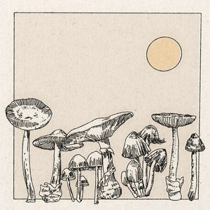 Real Fun Wow Mushroom Garden Print