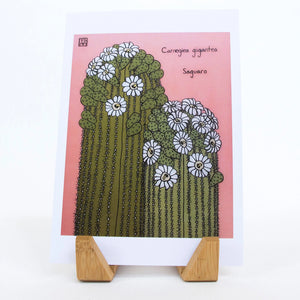 Sonoran Witch Boy Double Saguaro Greeting Card